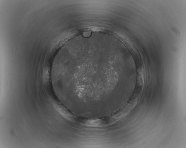 X0000115740410200911121541