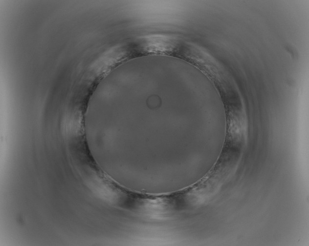 X0000115740411200911121541