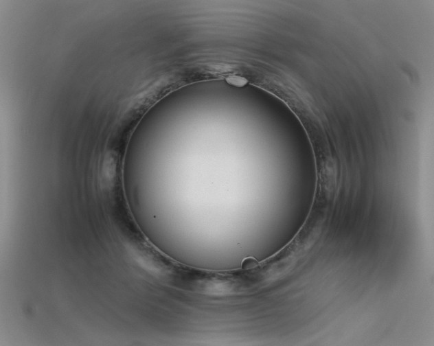 X0000115740412200911121541