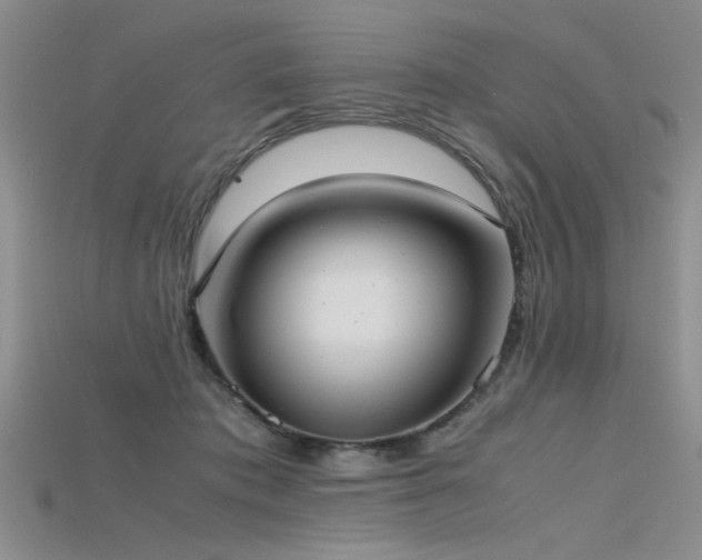 X0000115740413200911121541