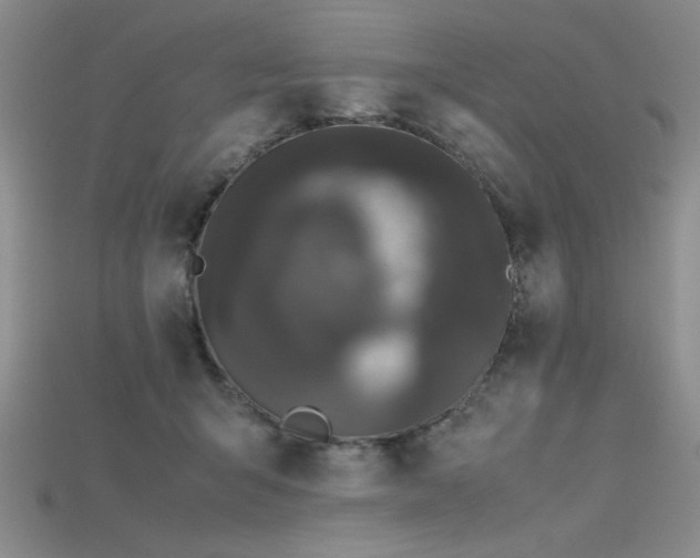X0000115740415200911121541