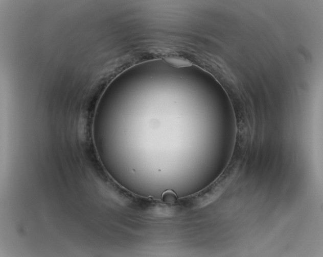 X0000115740416200911121541