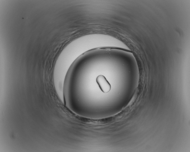 X0000115740417200911121541