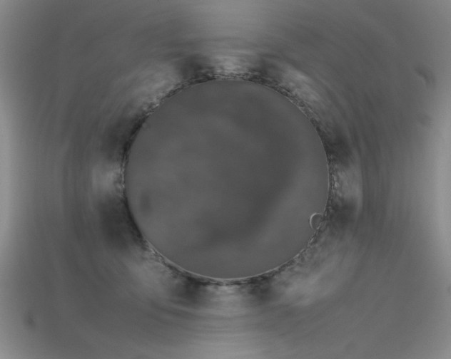X0000115740419200911121541