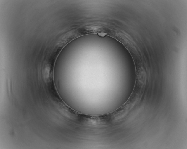X0000115740420200911121541