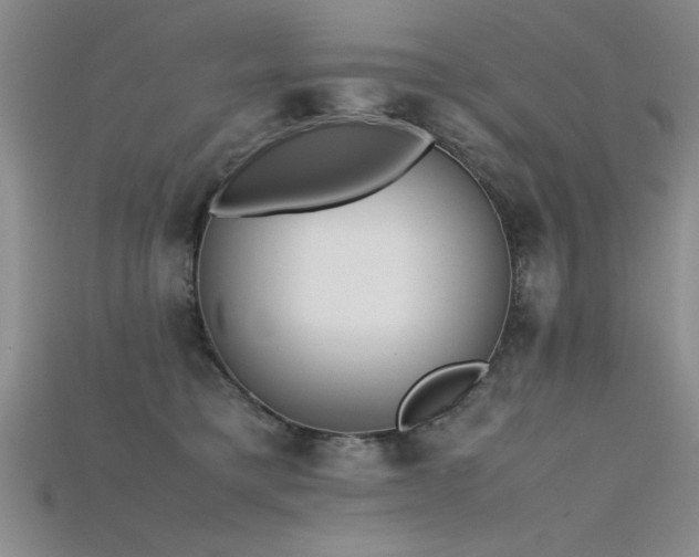 X0000115740421200911121541