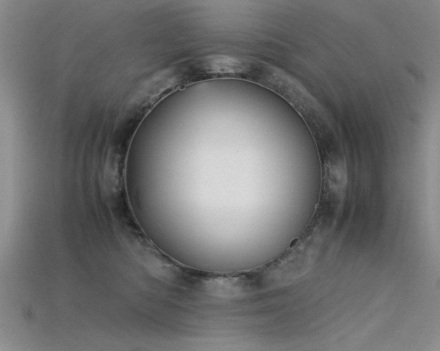 X0000115740422200911121541