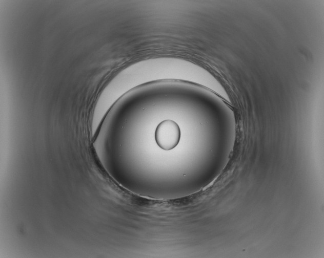 X0000115740423200911121541