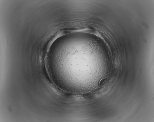 X0000115740424200911121541