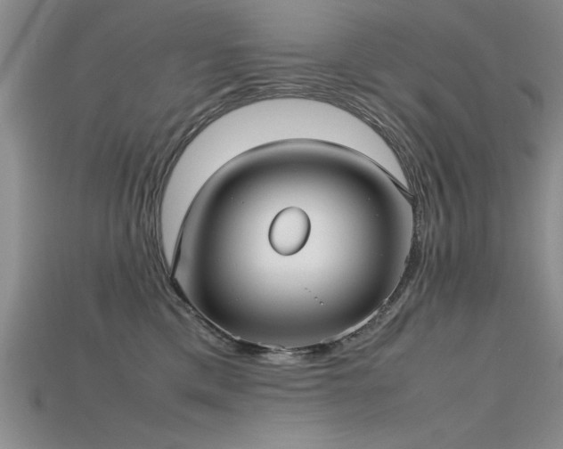 X0000115740425200911121541