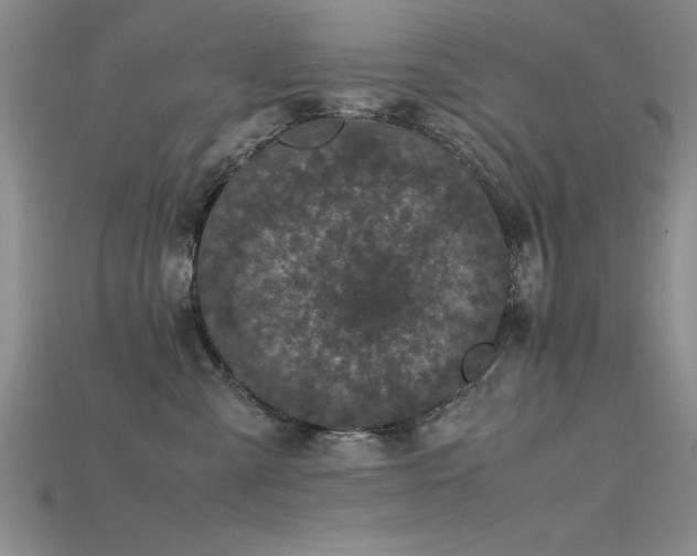 X0000115740427200911121541