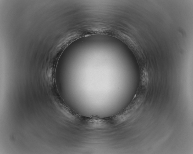 X0000115740428200911121541