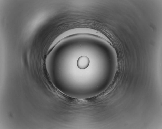 X0000115740429200911121541