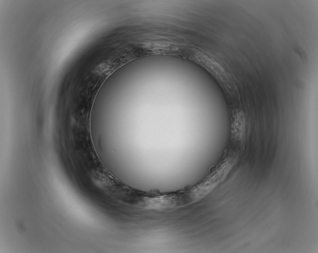 X0000115740430200911121541