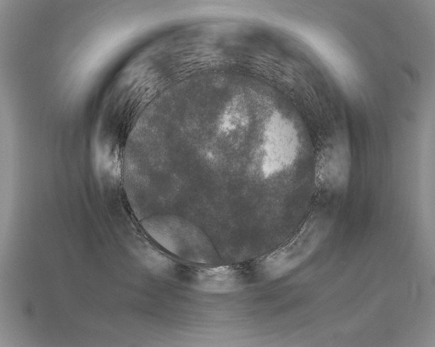 X0000115740431200911121541