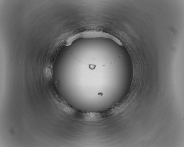 X0000115740432200911121541