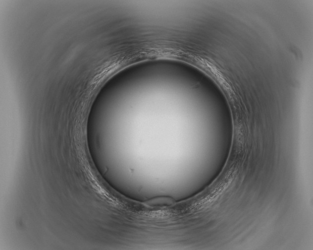 X0000115740433200911121540
