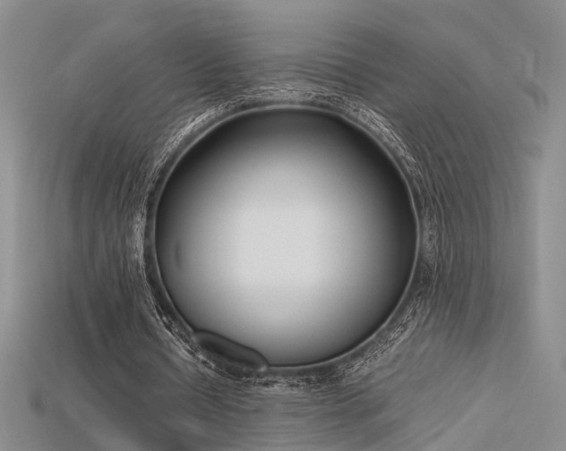 X0000115740434200911121540