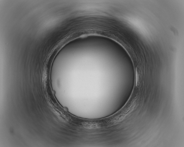 X0000115740435200911121540
