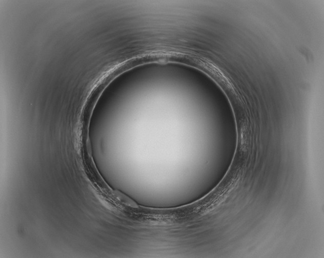 X0000115740436200911121540