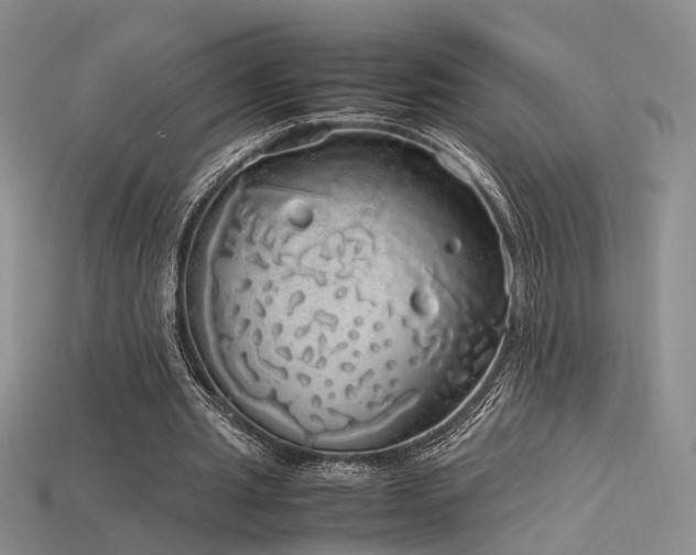 X0000115740437200911121540