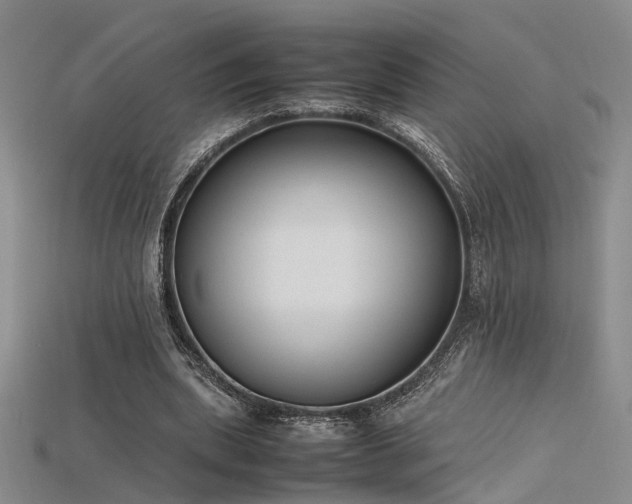 X0000115740439200911121540