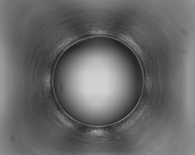 X0000115740441200911121540