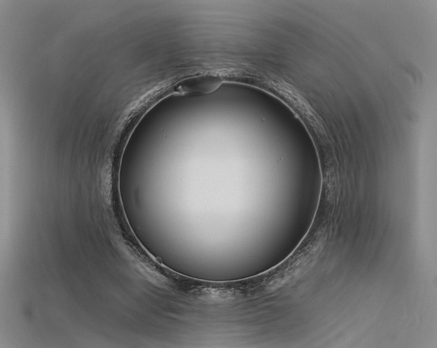 X0000115740442200911121540