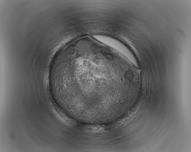 X0000115740443200911121540
