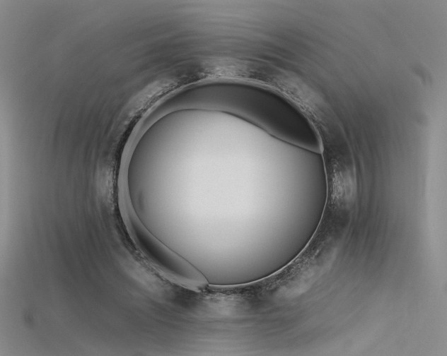 X0000115740444200911121540