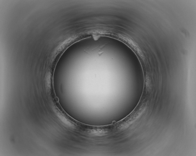 X0000115740445200911121540