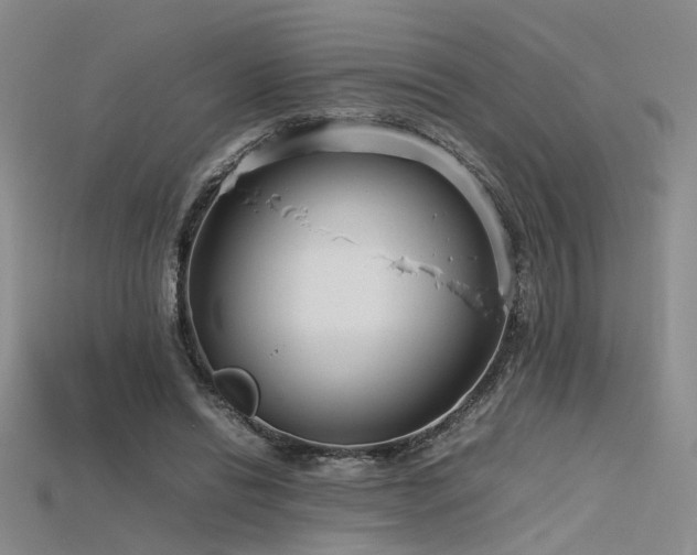 X0000115740446200911121540