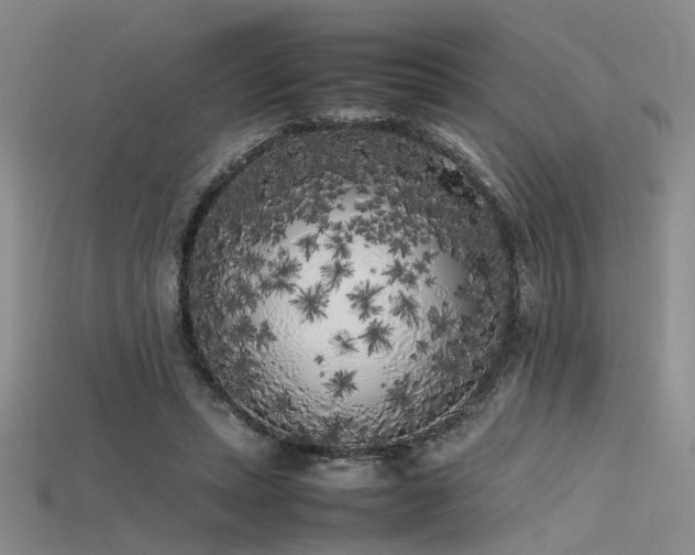X0000115740447200911121540