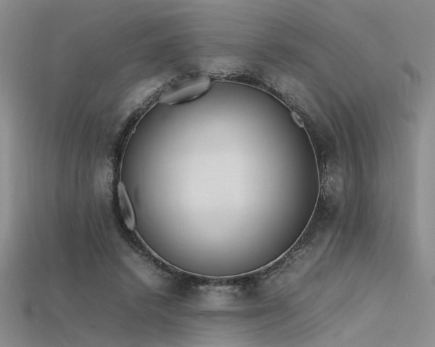 X0000115740448200911121540