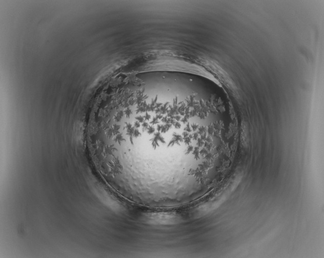 X0000115740449200911121540