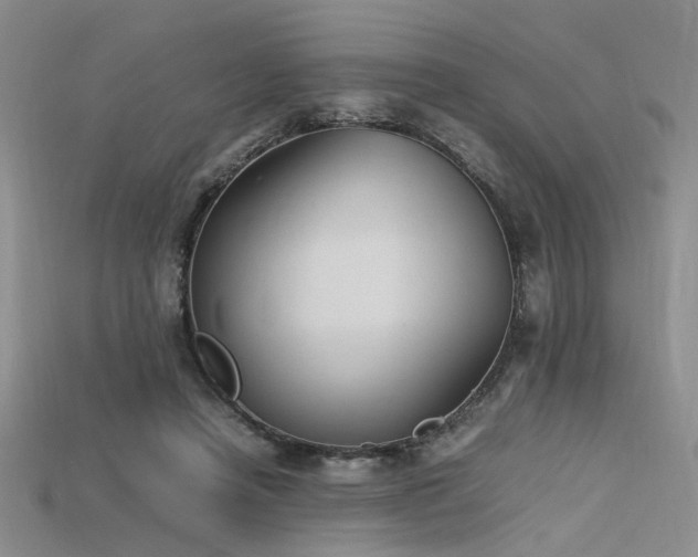 X0000115740450200911121540