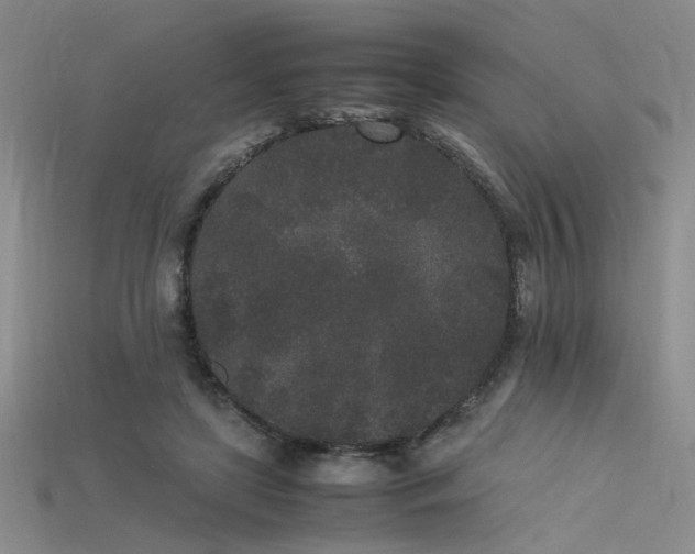 X0000115740451200911121540