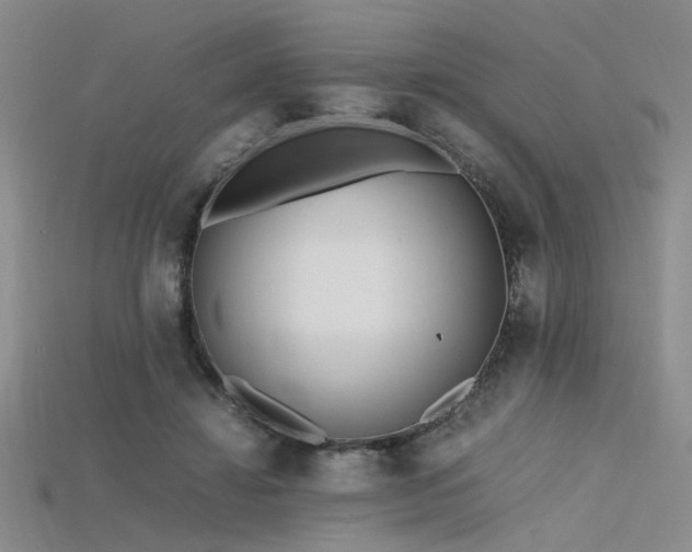 X0000115740452200911121540
