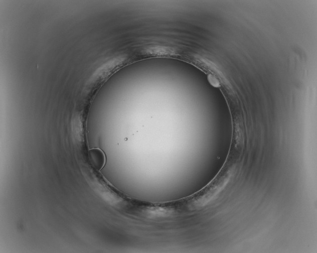 X0000115740453200911121540