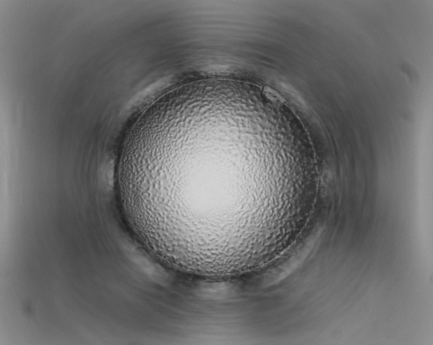 X0000115740454200911121540