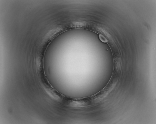 X0000115740455200911121541