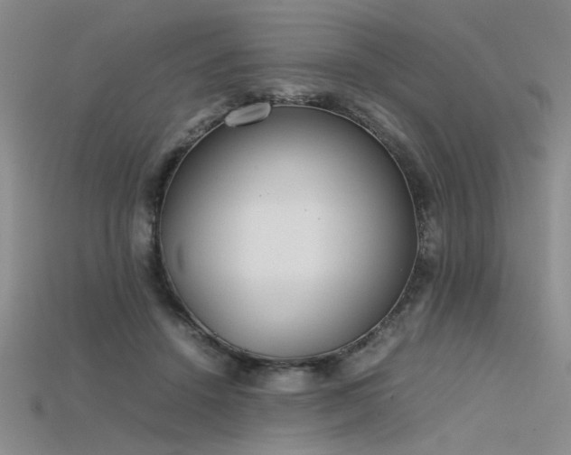 X0000115740456200911121541