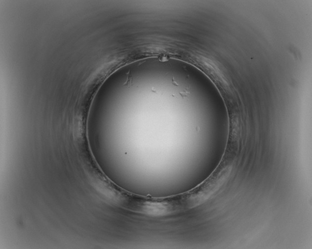 X0000115740457200911121541