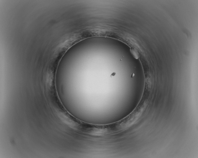 X0000115740458200911121541
