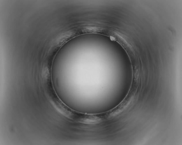 X0000115740459200911121541
