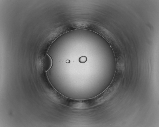 X0000115740460200911121541