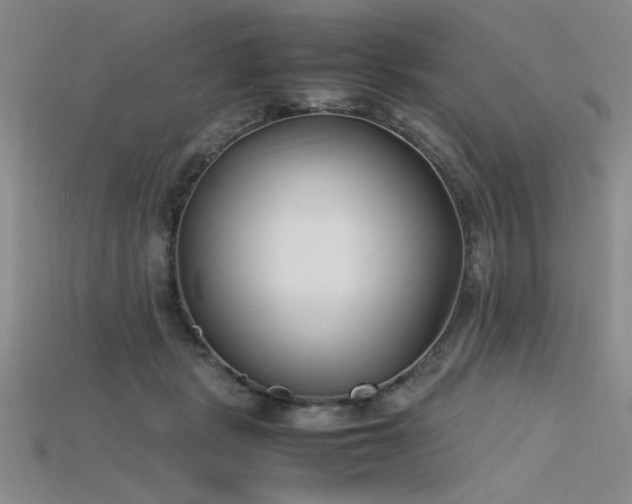 X0000115740461200911121541
