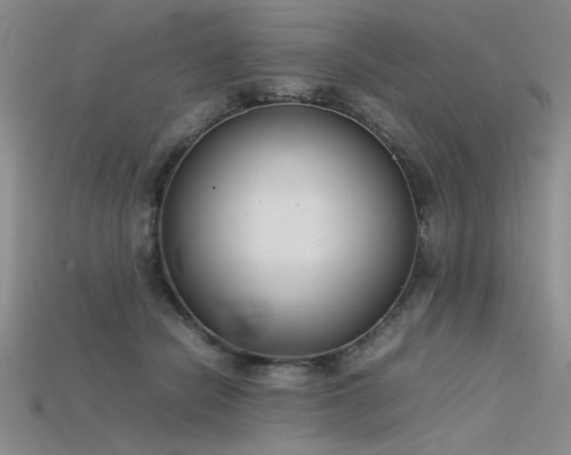 X0000115740462200911121541
