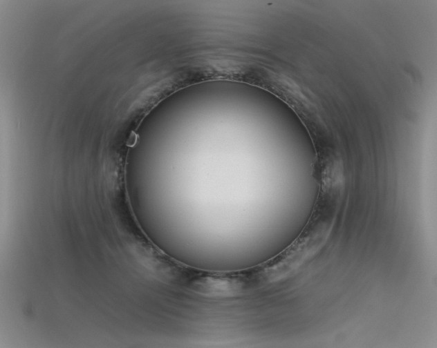 X0000115740464200911121541