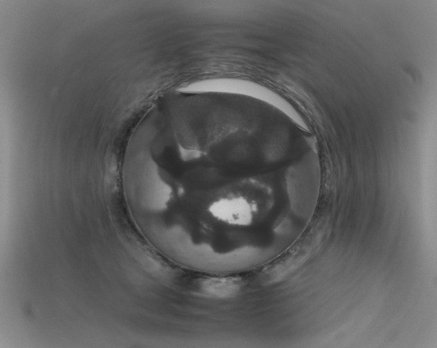 X0000115740465200911121541